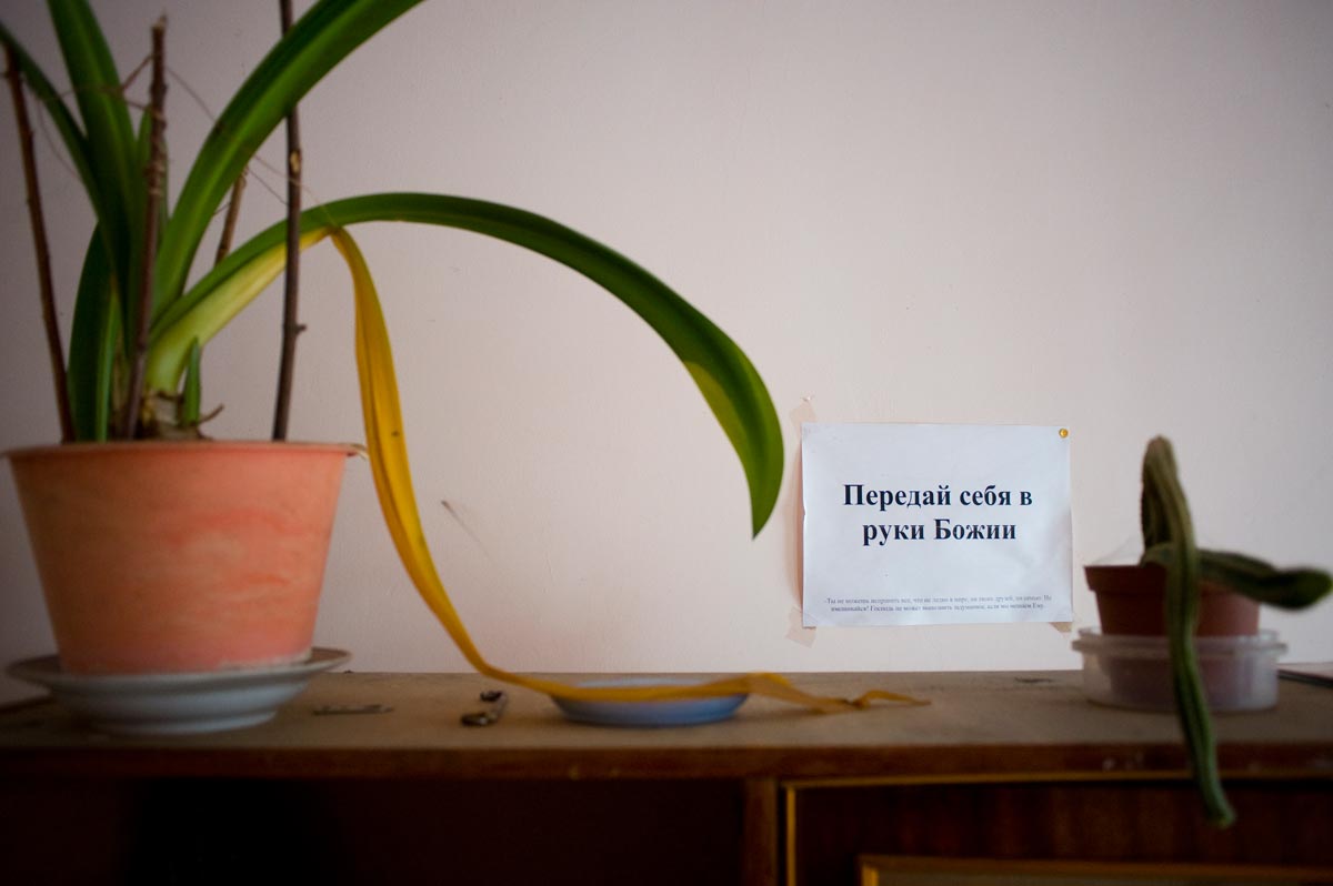 Budoucí uprchlická ubytovna, Družkivka.