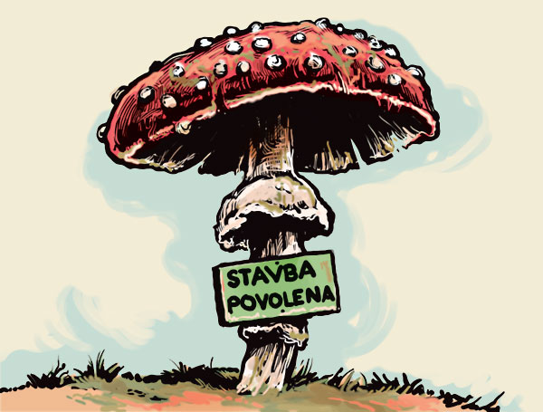 41 tyden jihlava