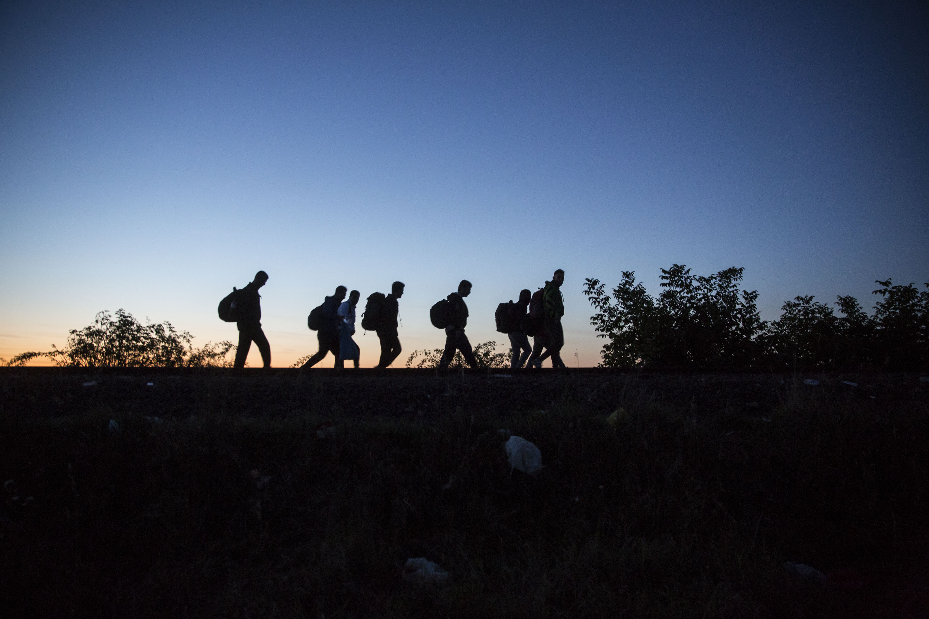 Exodus, Roszke 2015