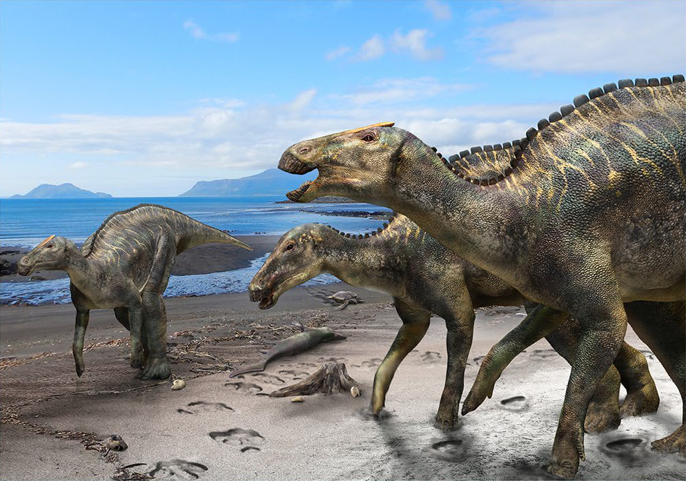 Hypotetická ekologická scéna se zástupci rodu Kamuysaurus.