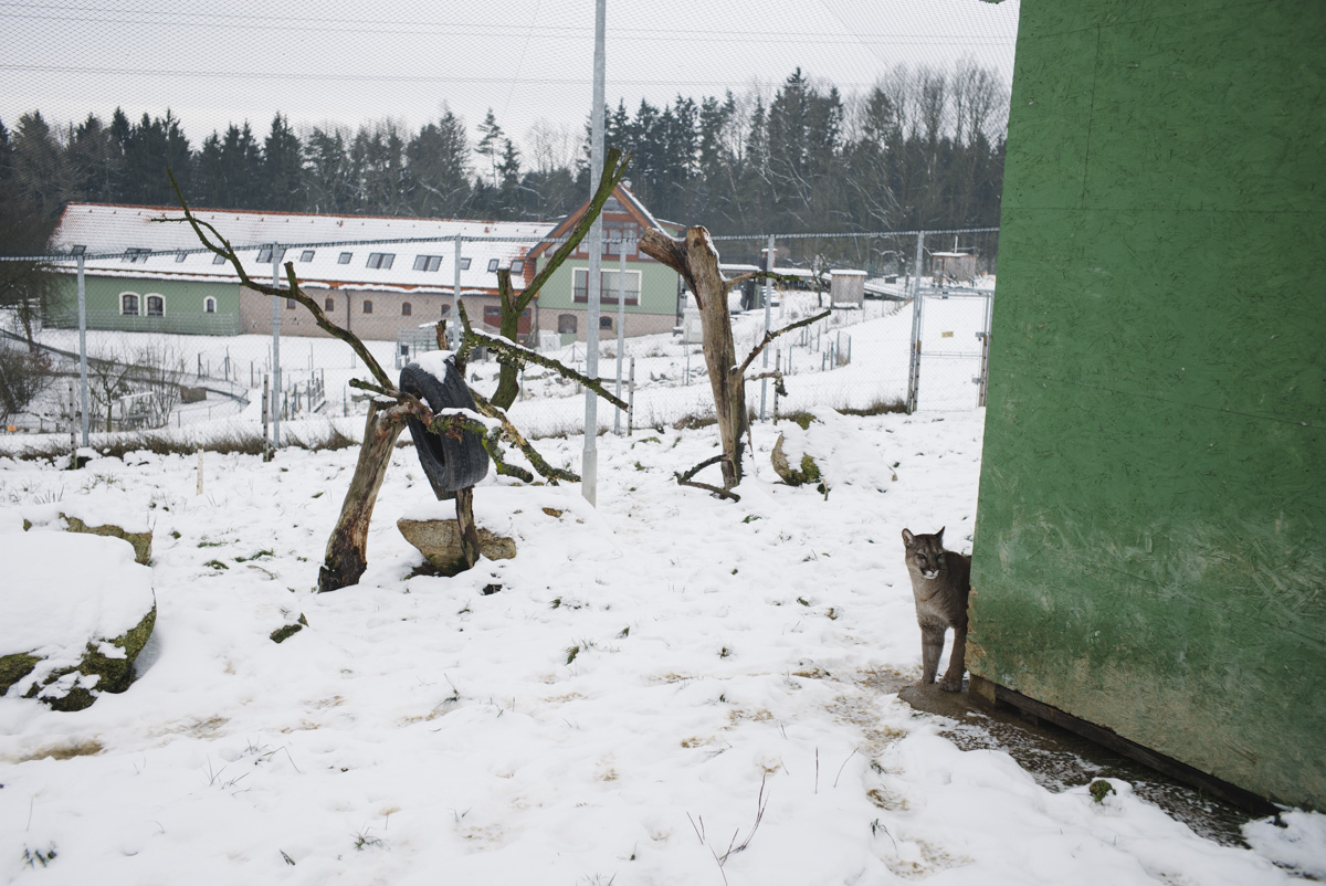 Zoo Vetrovy Tabor