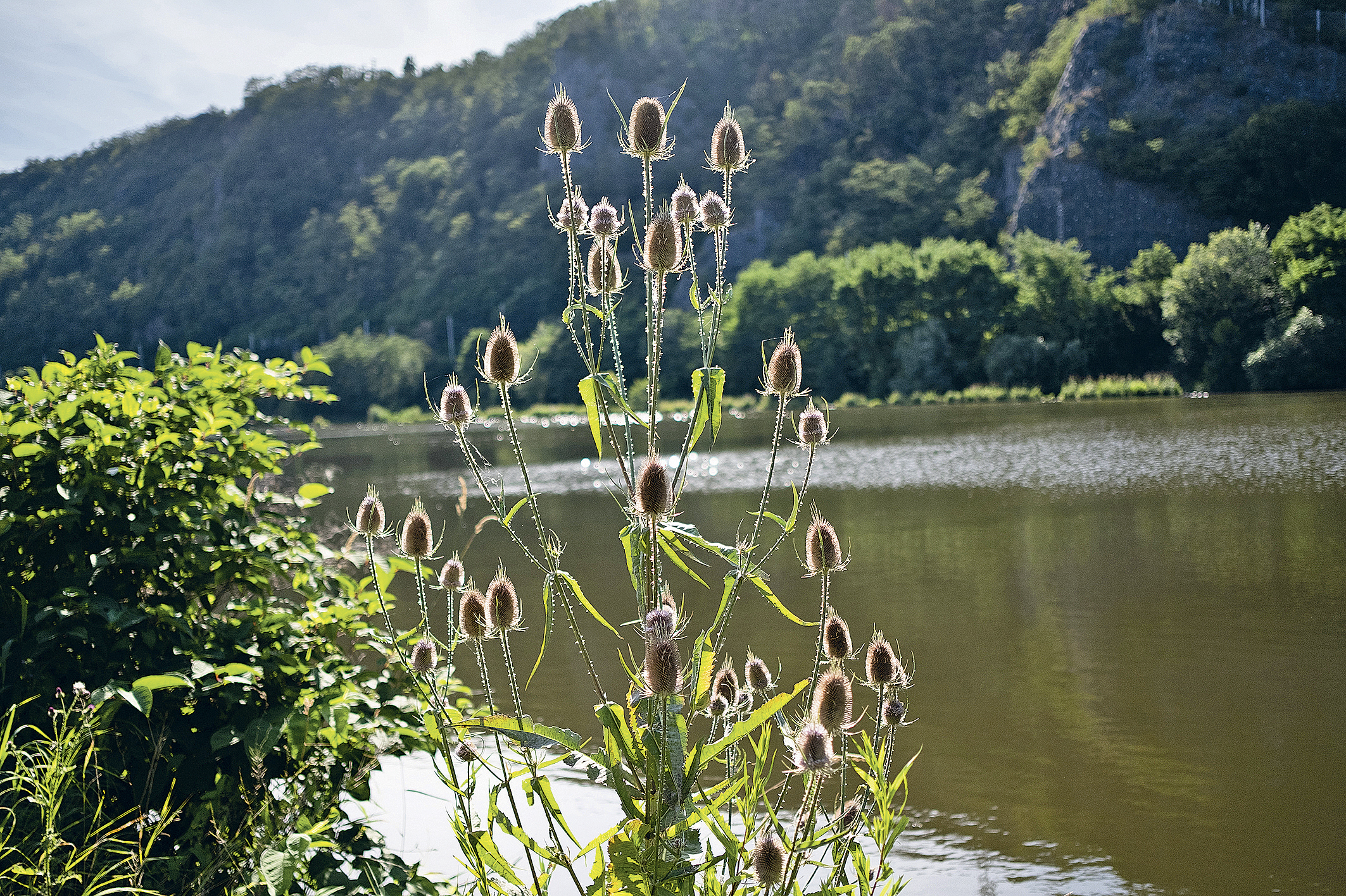 Cyklostezka Troja - Kralupy