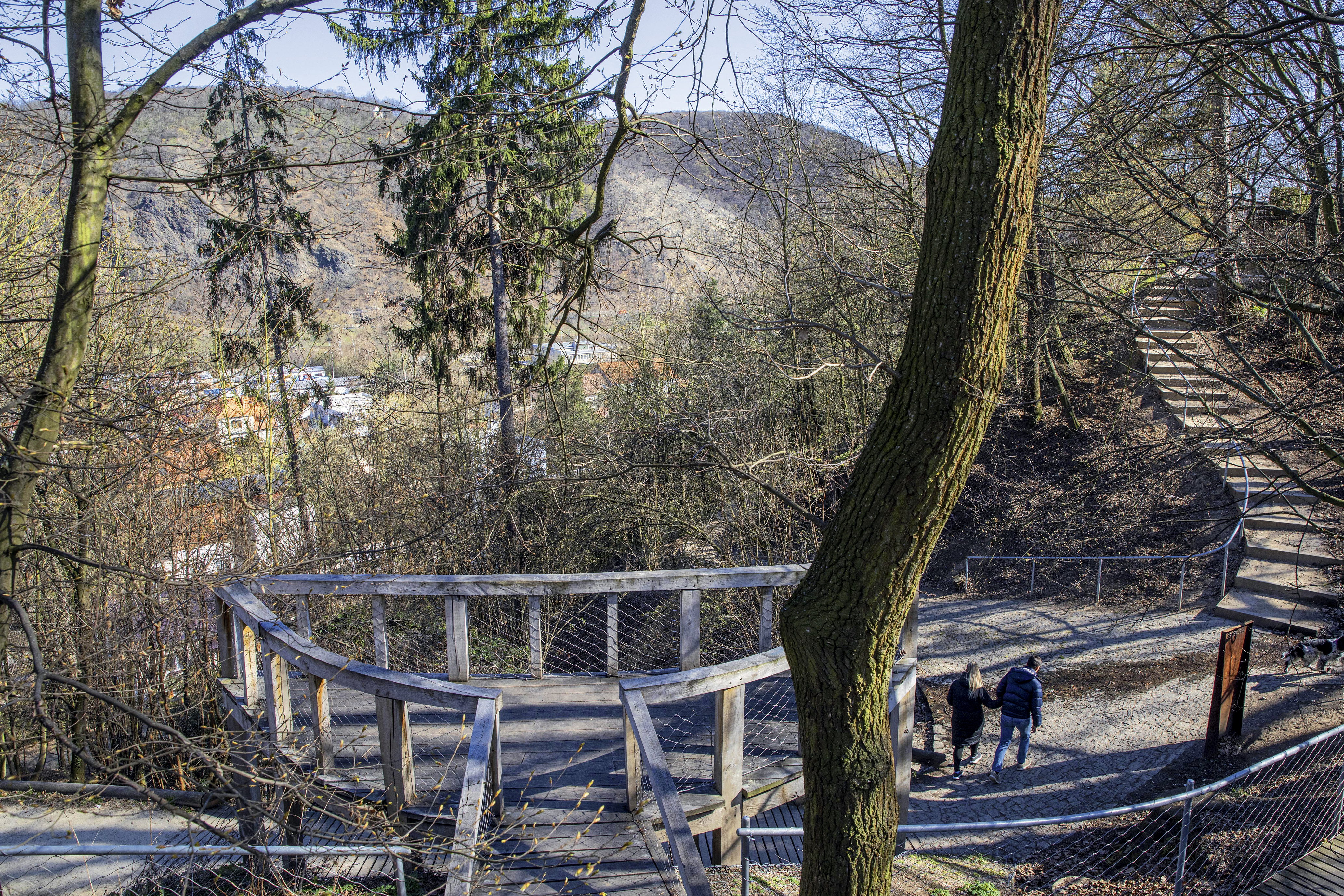 Z křoví park. (Belveder na Zbraslavi)