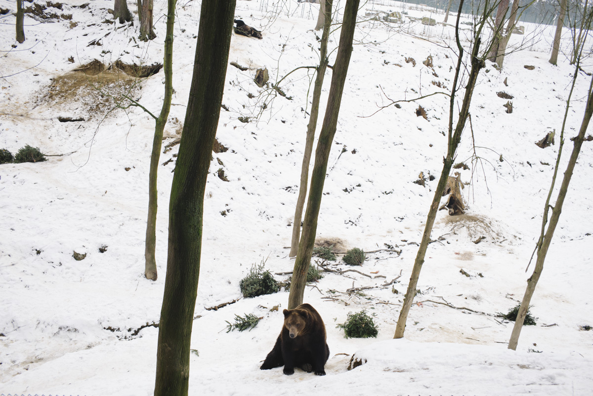 Zoo Vetrovy Tabor