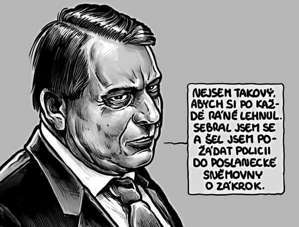 17 tyden facka