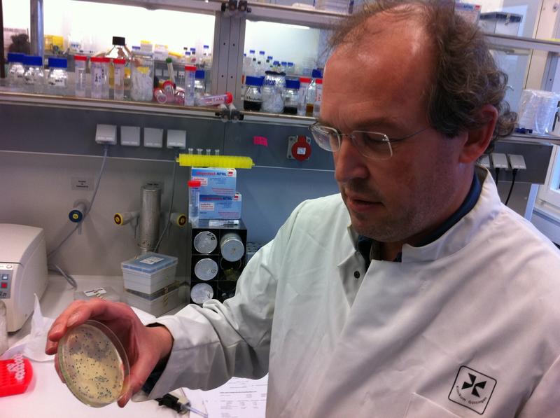 Jörg Stülke