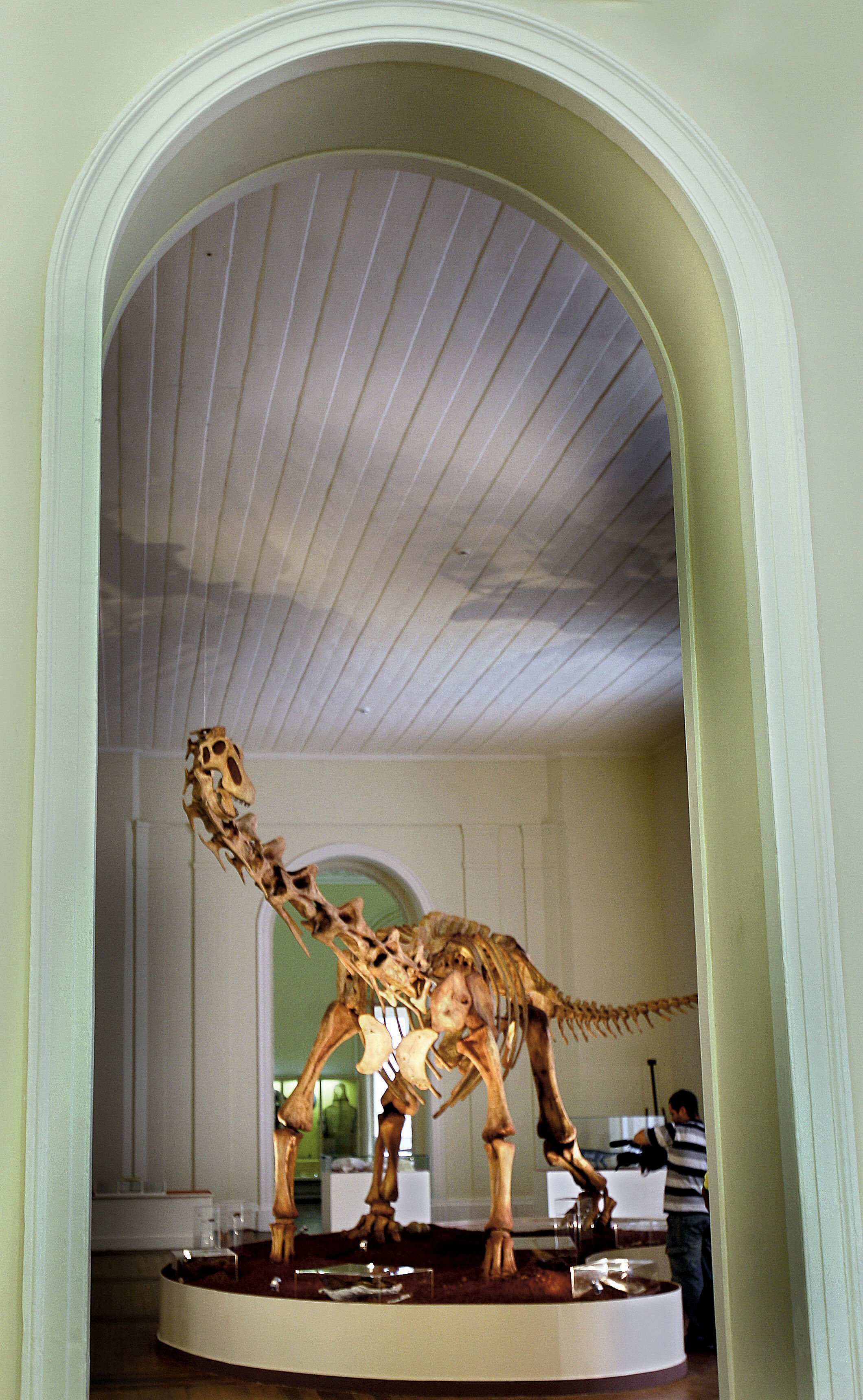 Dinosaurus Maxakalisaurus topai...