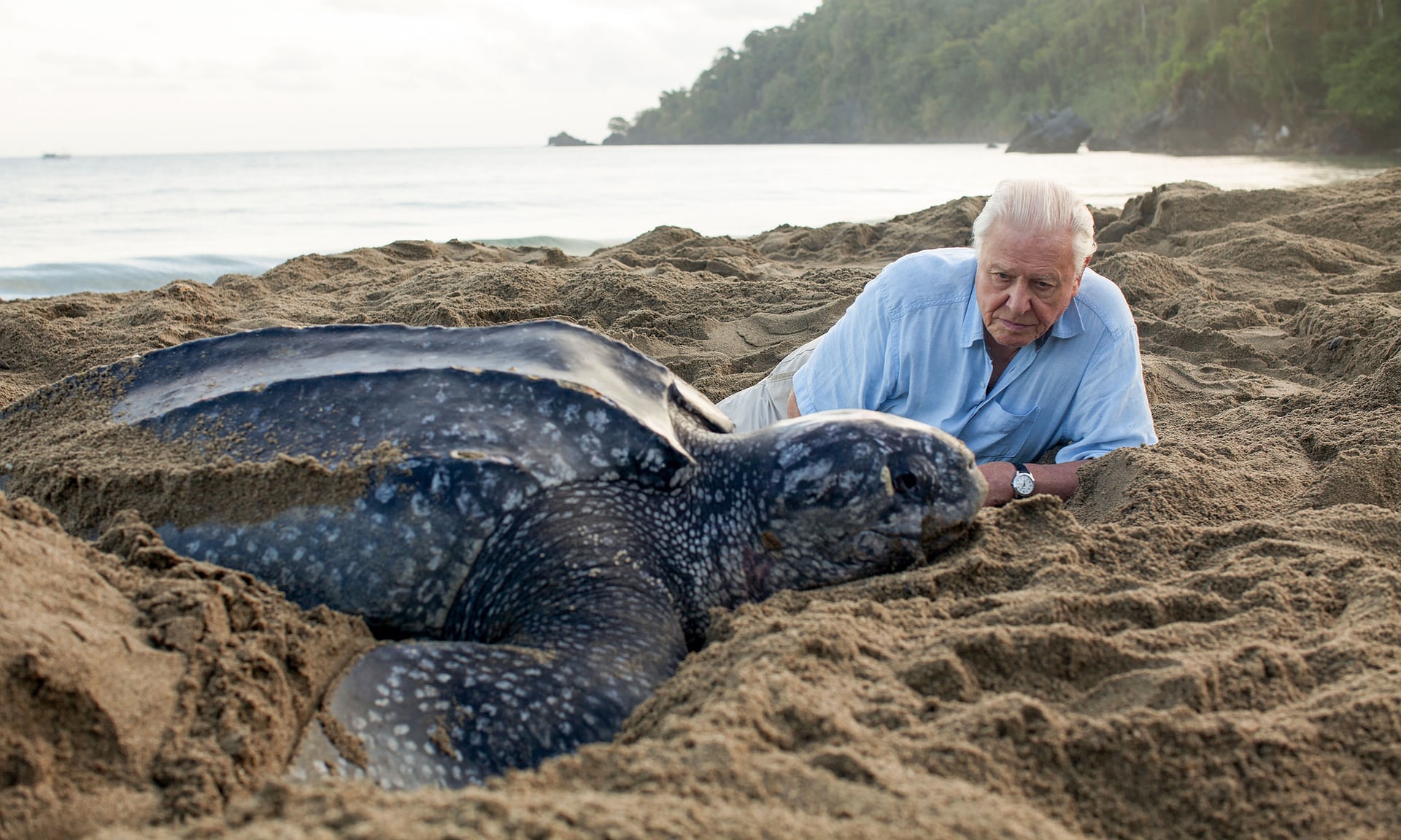 Sir David Attenborough vysílá dramatický apel, aby lidé změnili svoje chování.