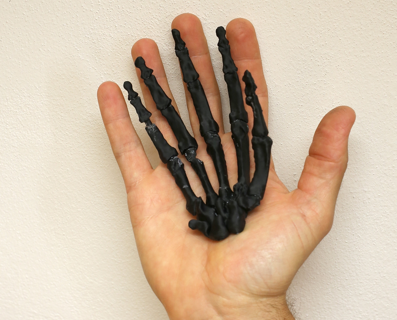 Model končetiny tvora Homo naledi z 3D tiskárny