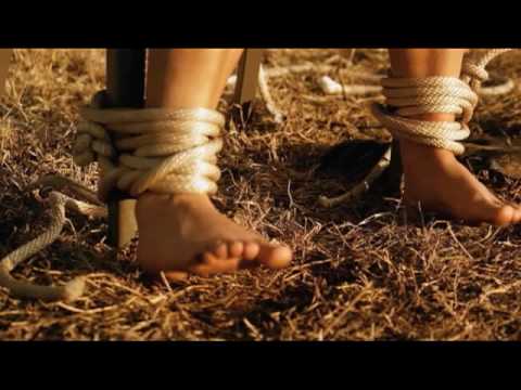 The Flaming Lips - Powerless (Video)