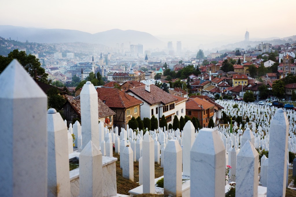 Twelve thousand dead and irreversible damages.