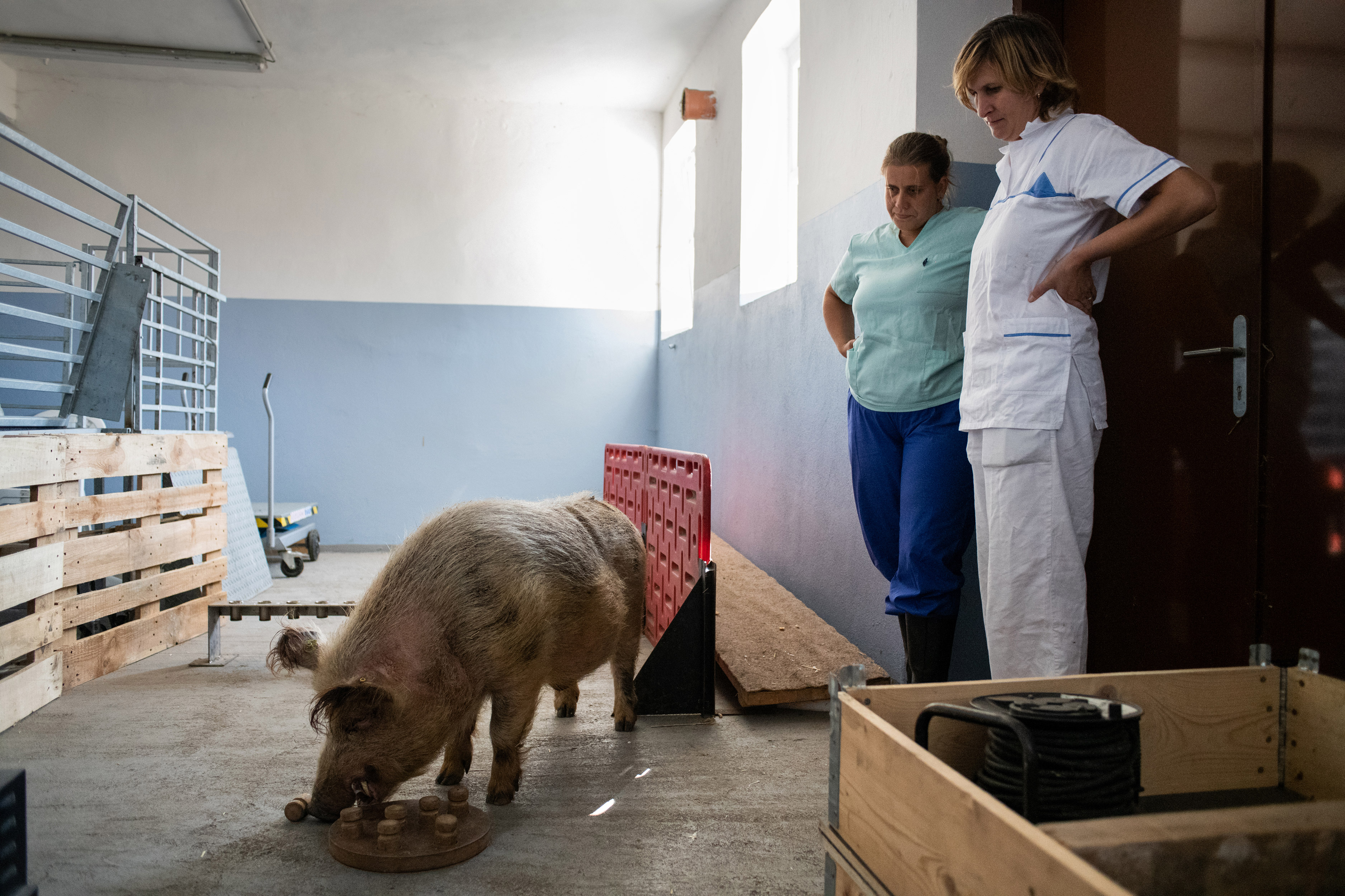 Ústav živočišné fyziologie a genetiky, září 2018