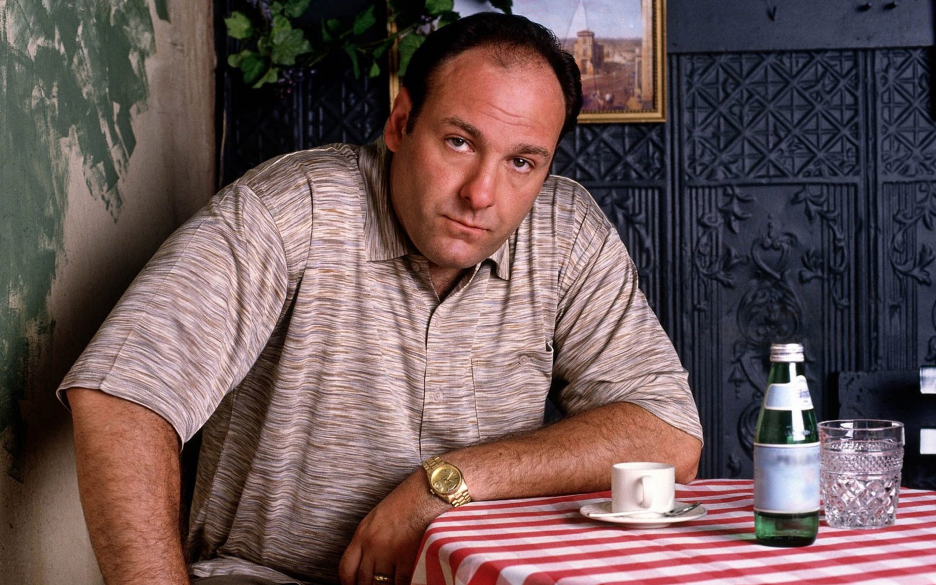 V seriálu Sopranovi ztvárnil James Gandolfini hlavní roli.
