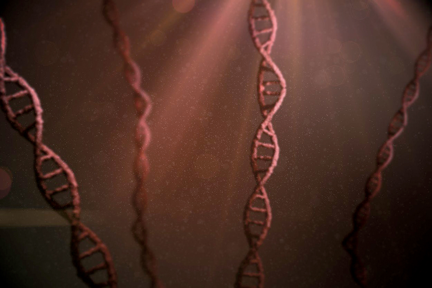 DNA