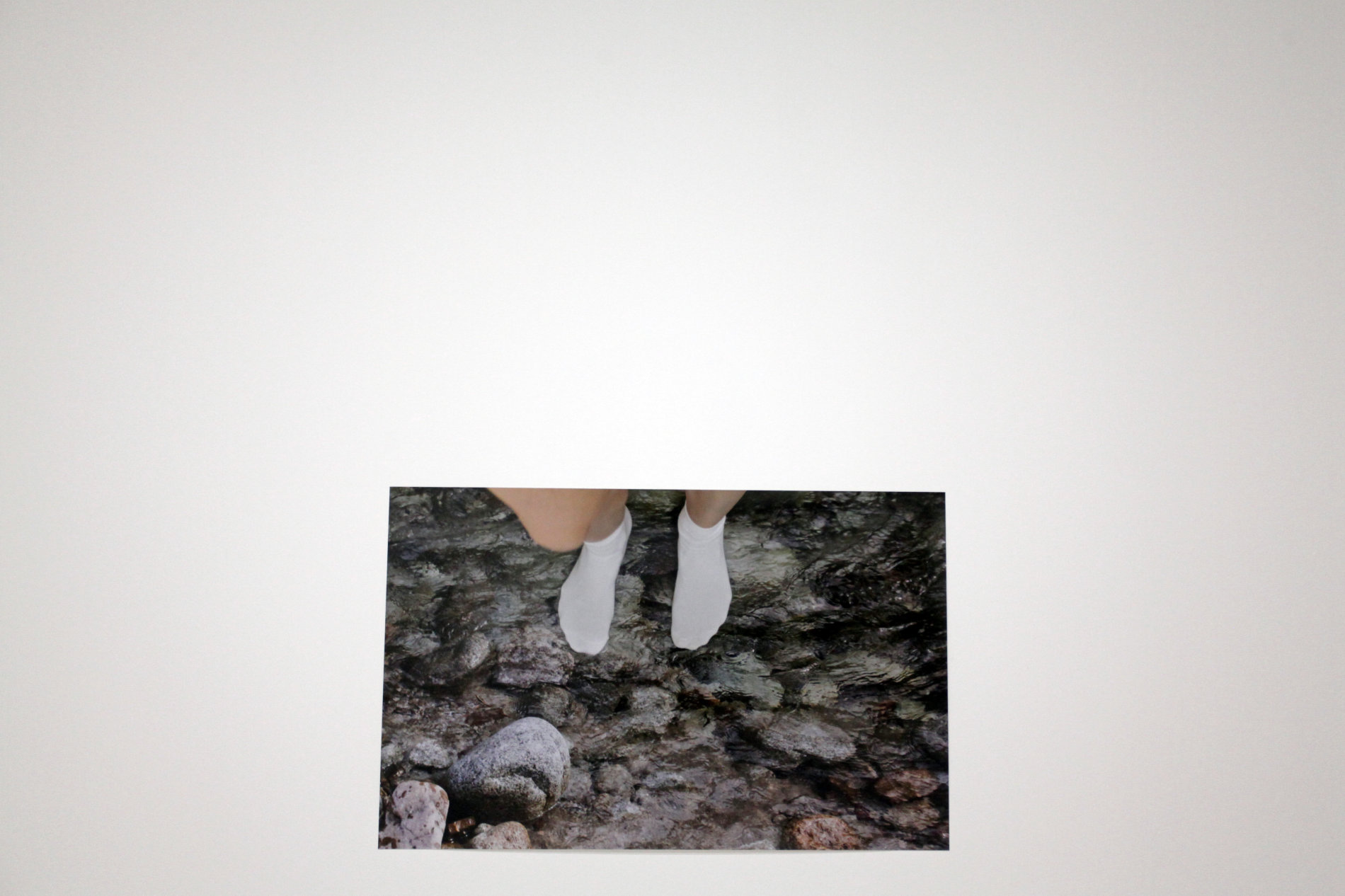 Podle pořadatelů ceny Scerankovou zajímá vztah fotografického obrazu k realitě a to, nakolik jsou lidé schopni vizuálně reflektovat současnost.