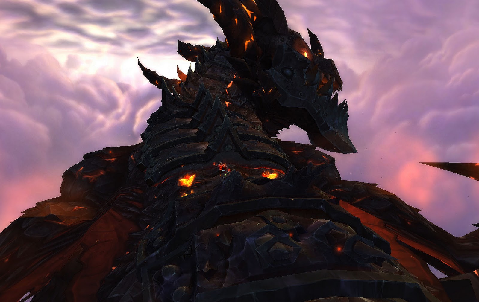 spine 1