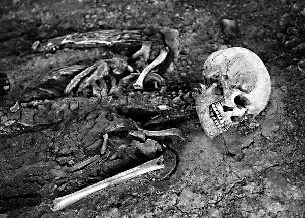 Fotografie: Are you one of his offsprings?
