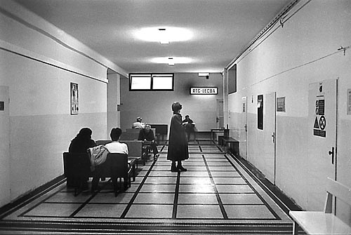 Fotografie: Platíme zdravotní pojištění. Potom už je jedno, jestli navštívíme lékaře jednou, nebo stokrát za rok. Foto Králík