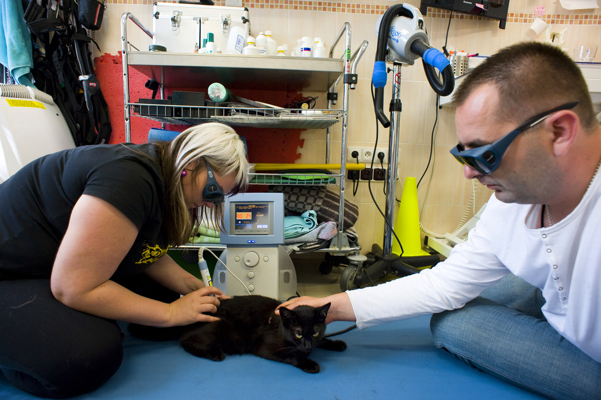 Veterinární klinika, červenec, foto: Matěj Stránský