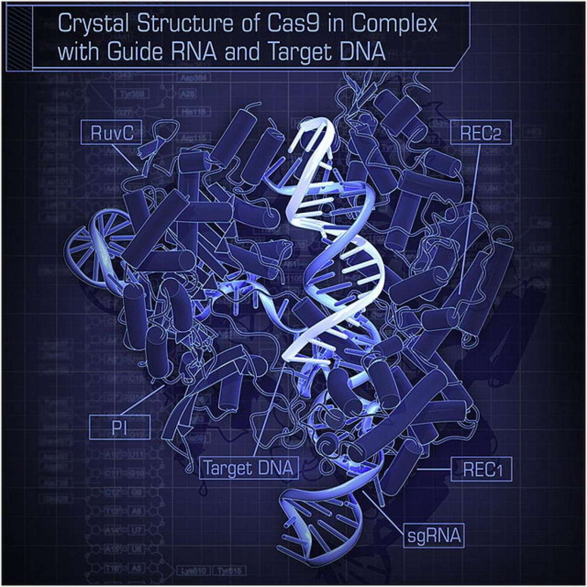Metoda CRISPR