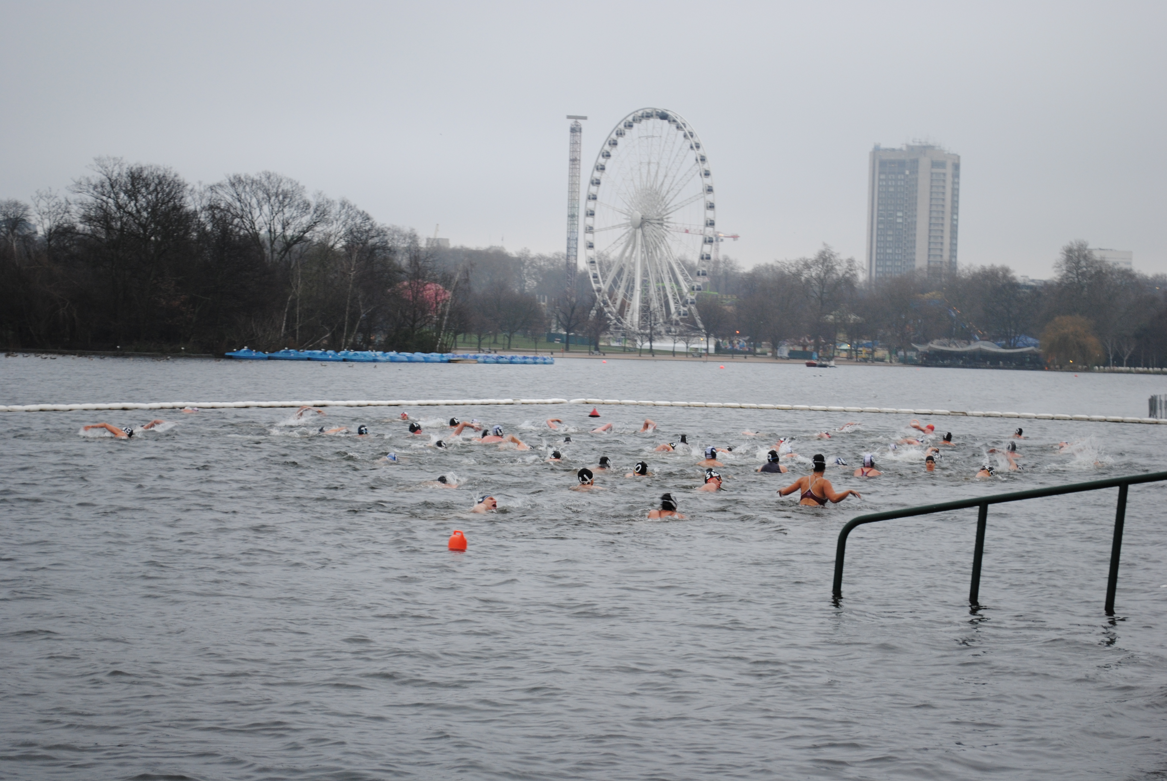 Serpentine Swimming Club v akci