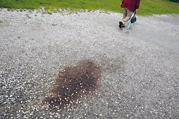 Autor fotografie: Tomki Němec