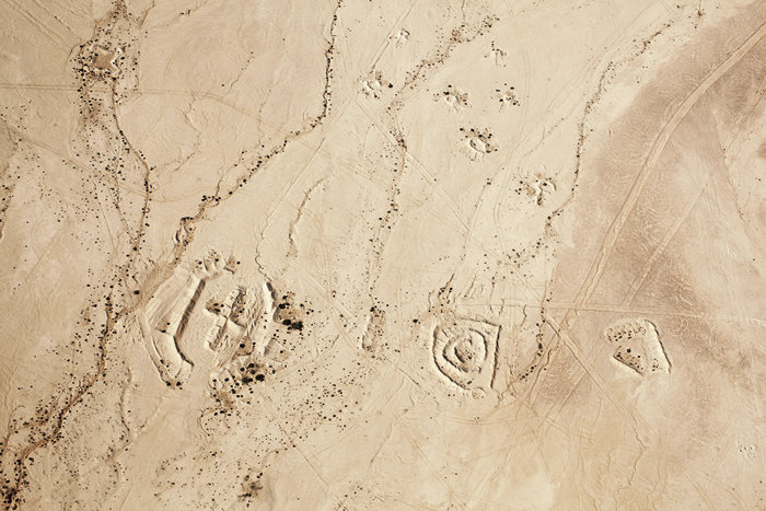 From the Desert Bloom series / Ze série Květ pouště