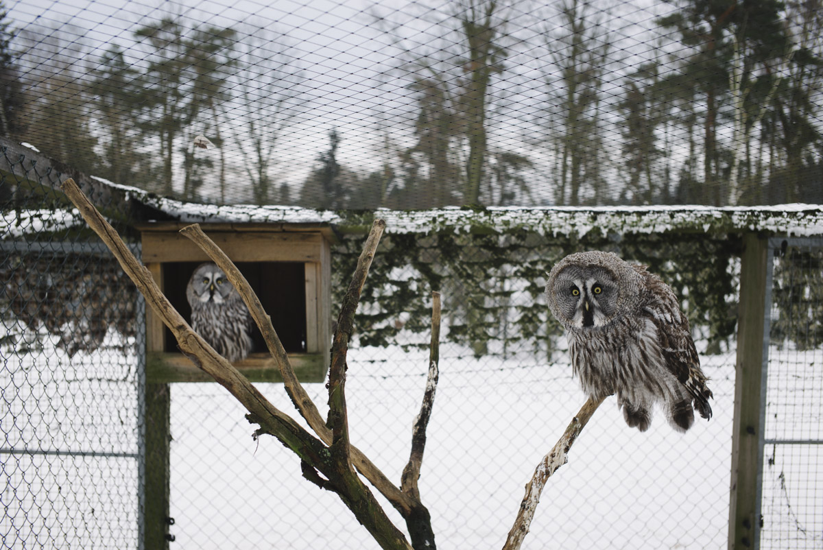 Zoo Vetrovy Tabor