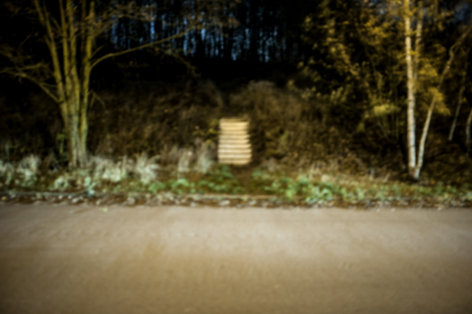 Out of Focus