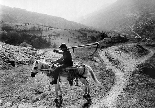 Fotografie: Až přijde brácha z Německa, prorazí tudy pořádnou silnici. Foto Králík