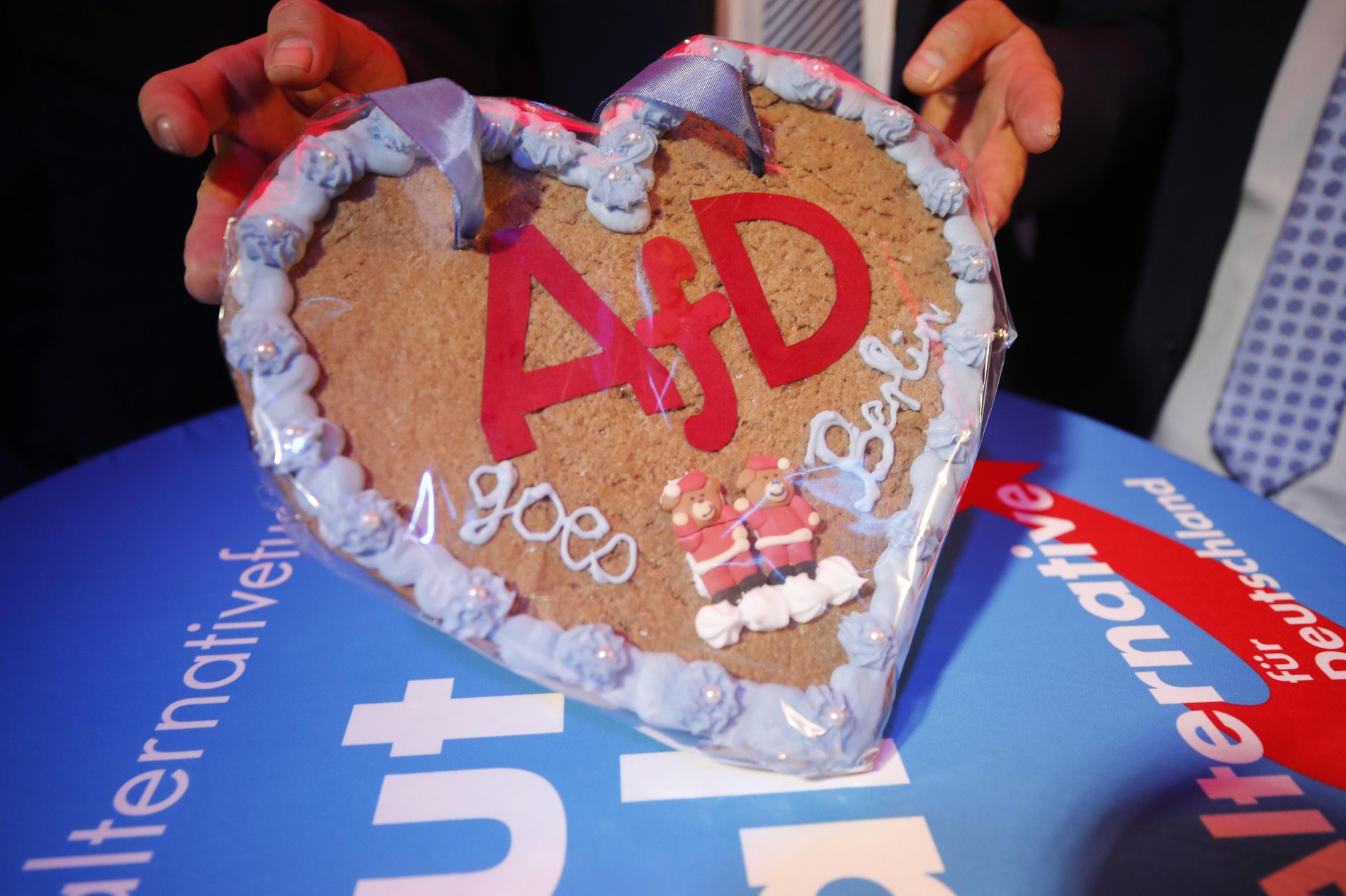AfD slaví vstup do parlamentu; ilustrační foto