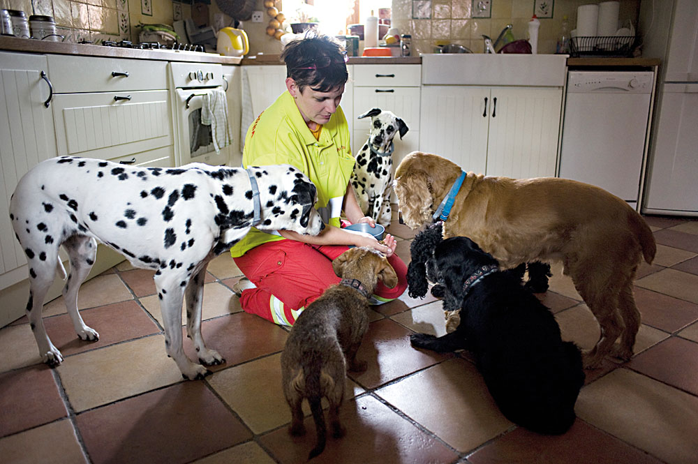 Veterinární medicína