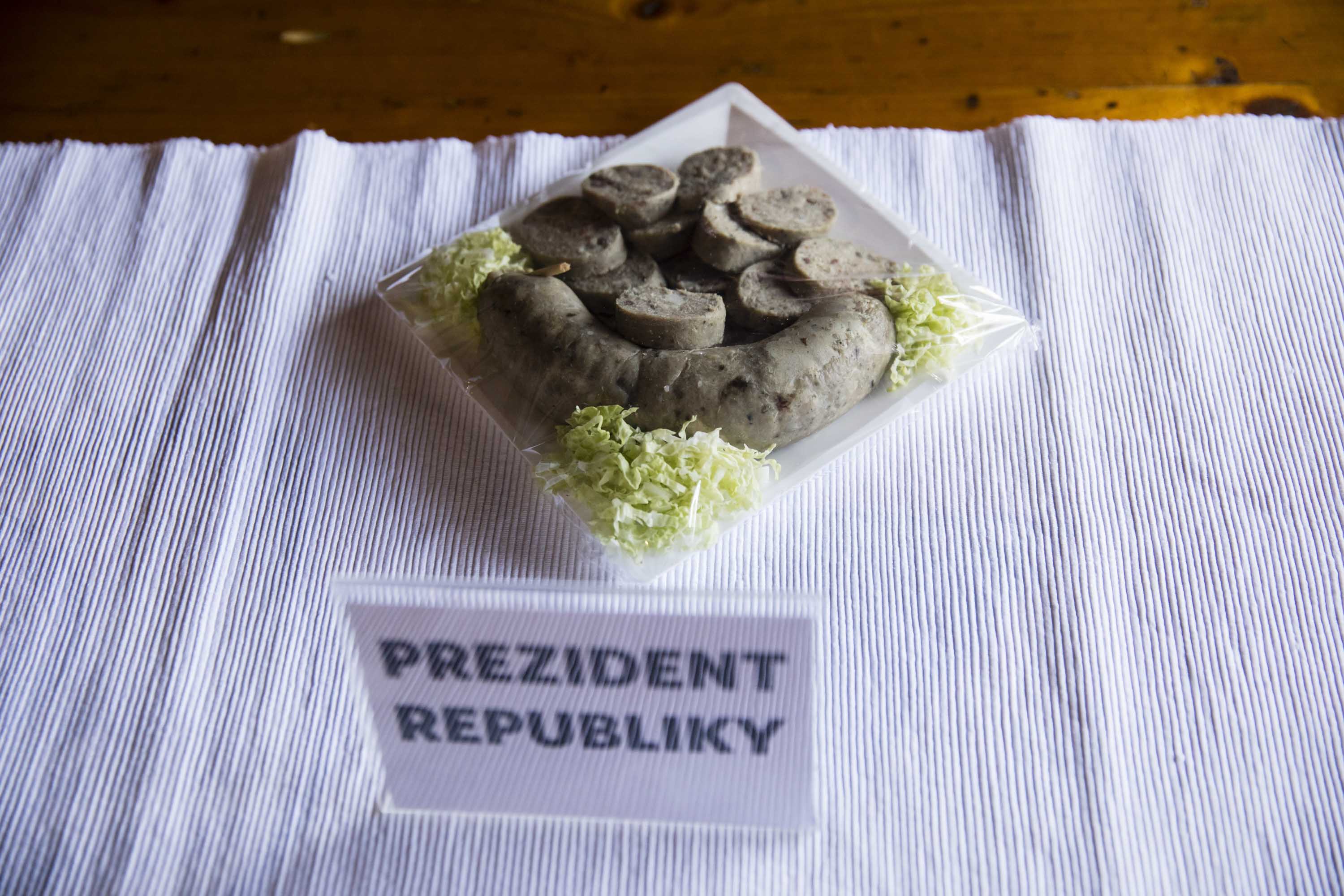 Návštěvy prezidenta Miloše Zemana v krajích