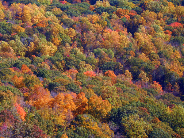 Hudson River Valley Breakneck Ridge / Foto: Jiří Zavadil