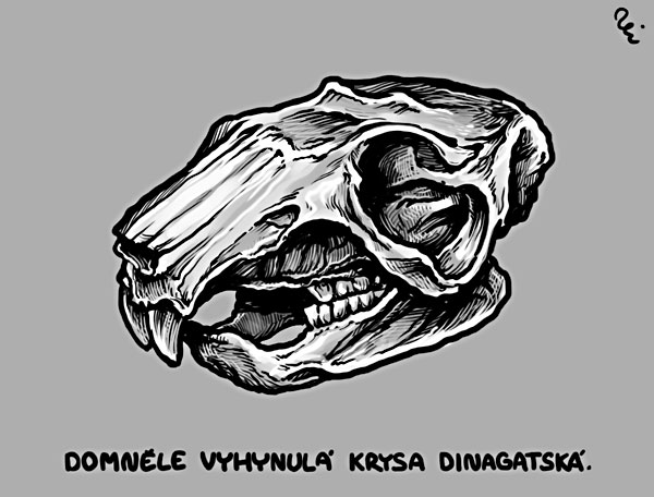 17 tyden krysa
