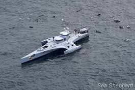 Sea Shepherd