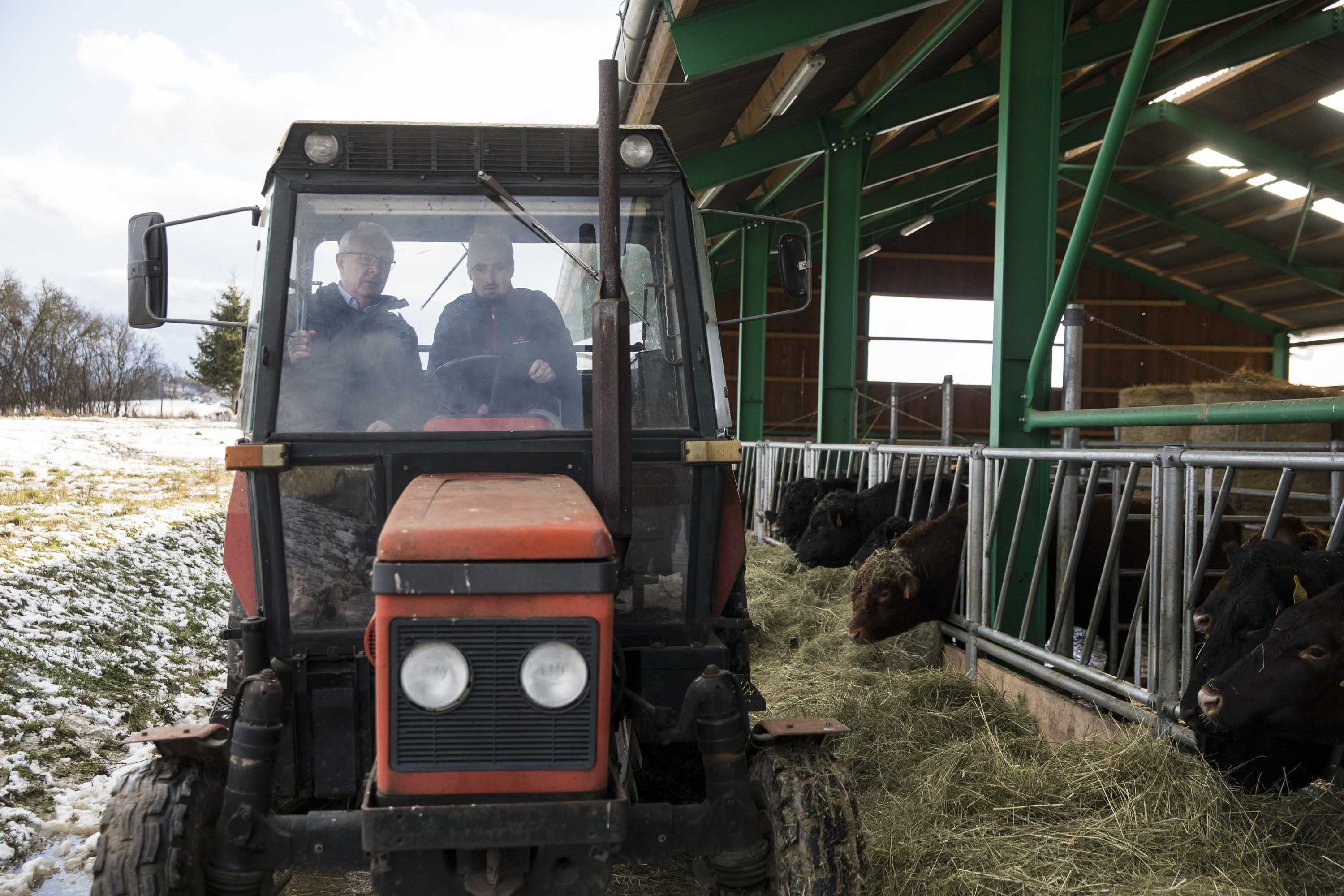 19.1. 2018, Angus farma Rančice