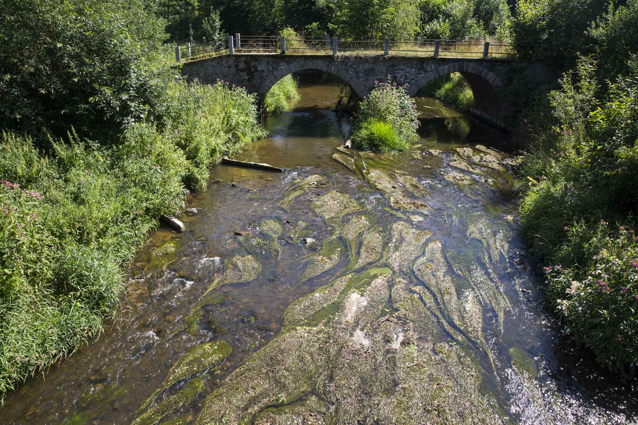Sázava