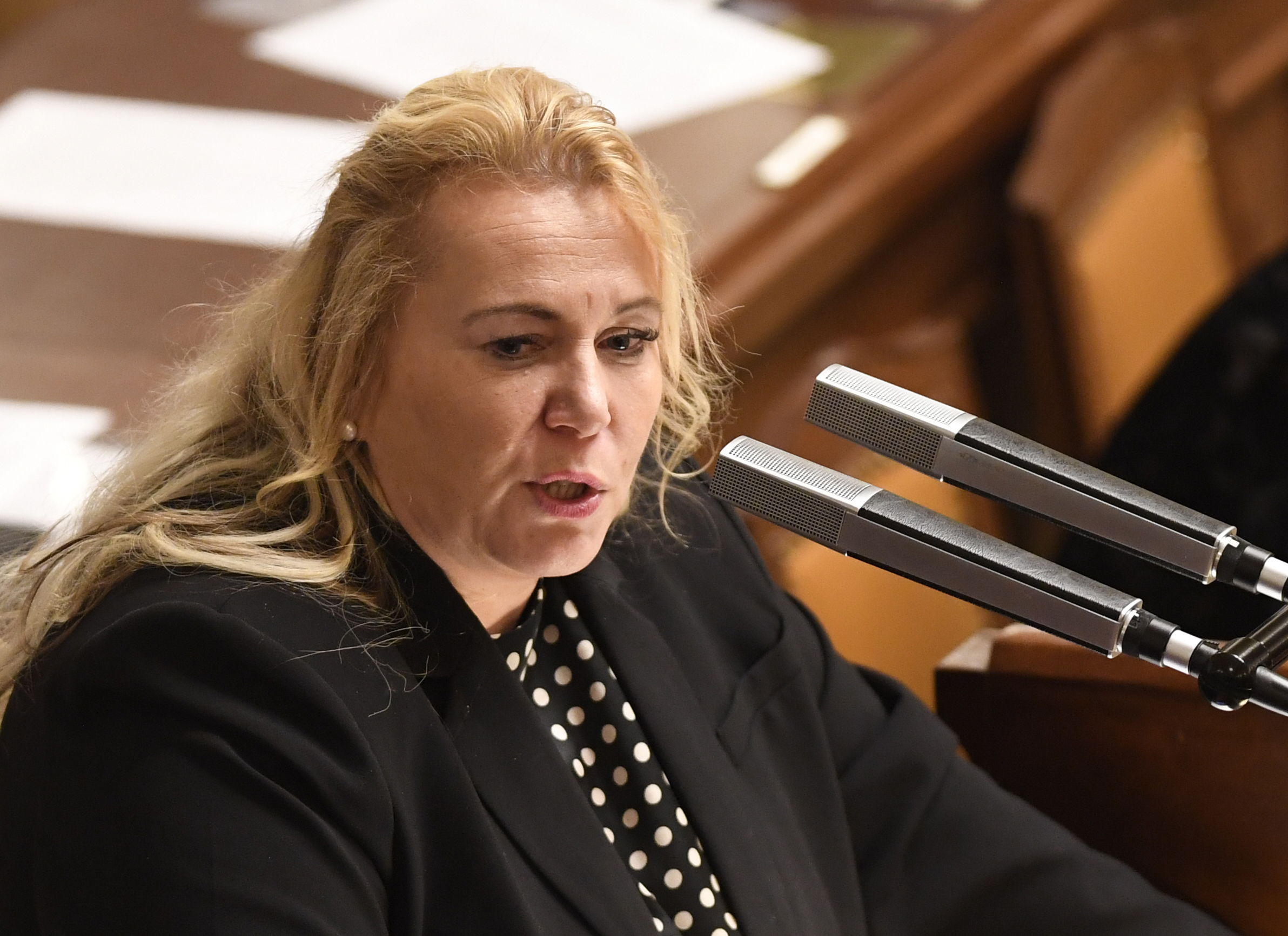 Ministryně pro místní rozvoj Klára Dostálová 