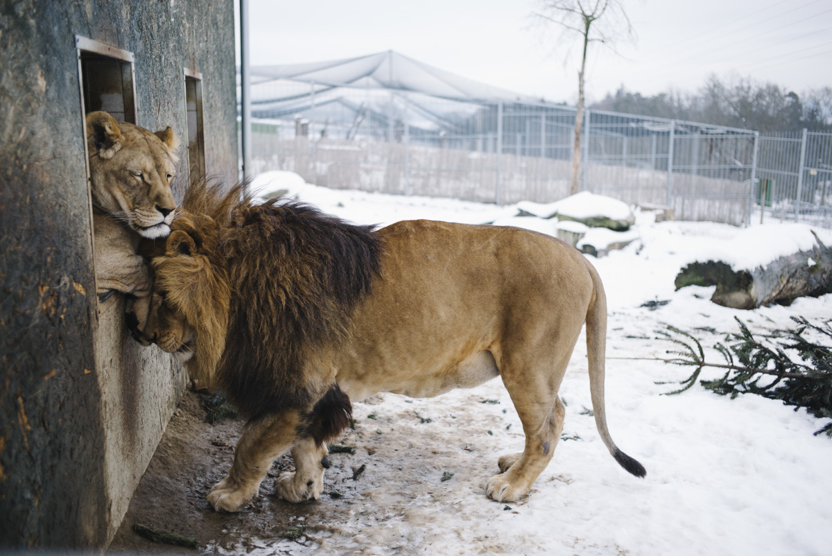 Zoo Vetrovy Tabor
