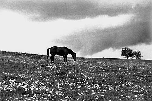 Fotografie: Příliš zachovalý kraj. Kdy už přijde ta věž, práce a nová silnice? Foto Günter Bartoš