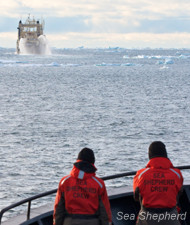 Sea Shepherd