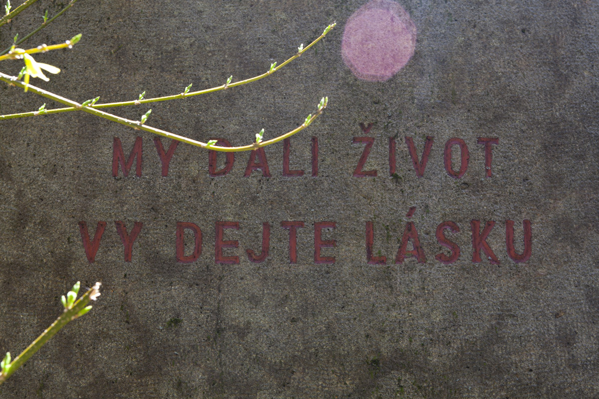 Žalov