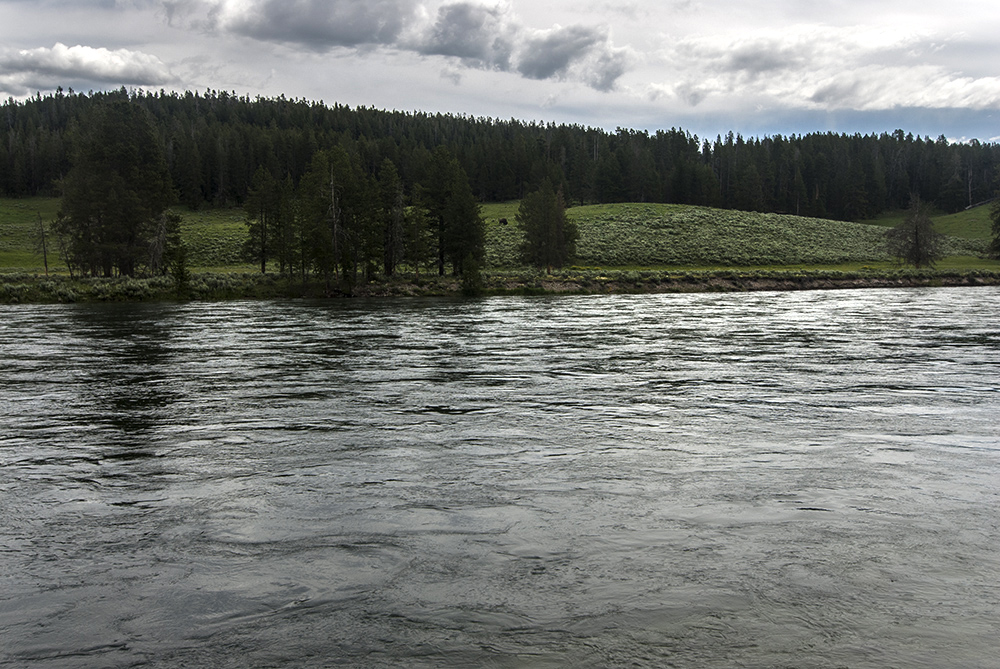yellowstone02