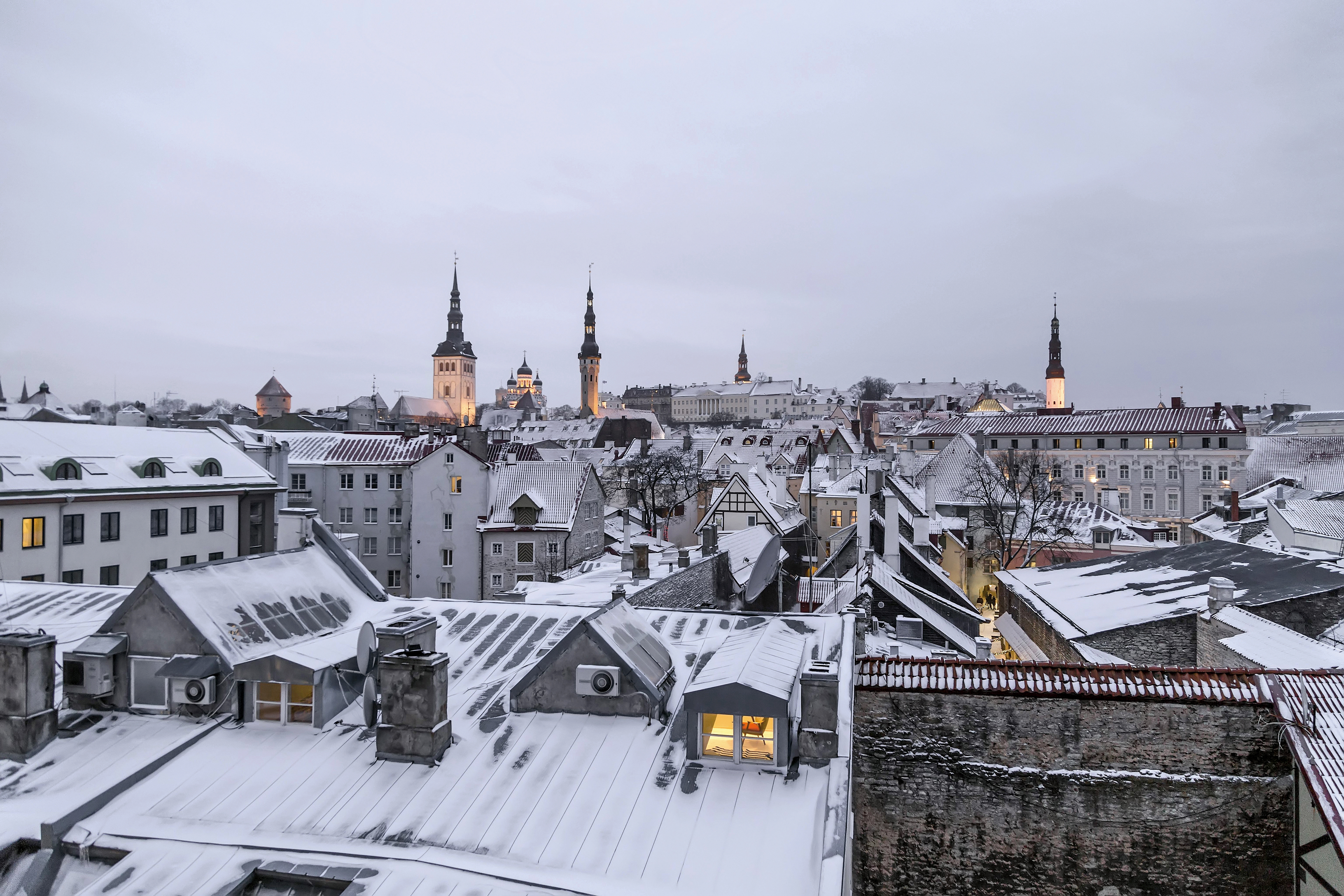 Každý den se snaží něco získat. (Tallinn)