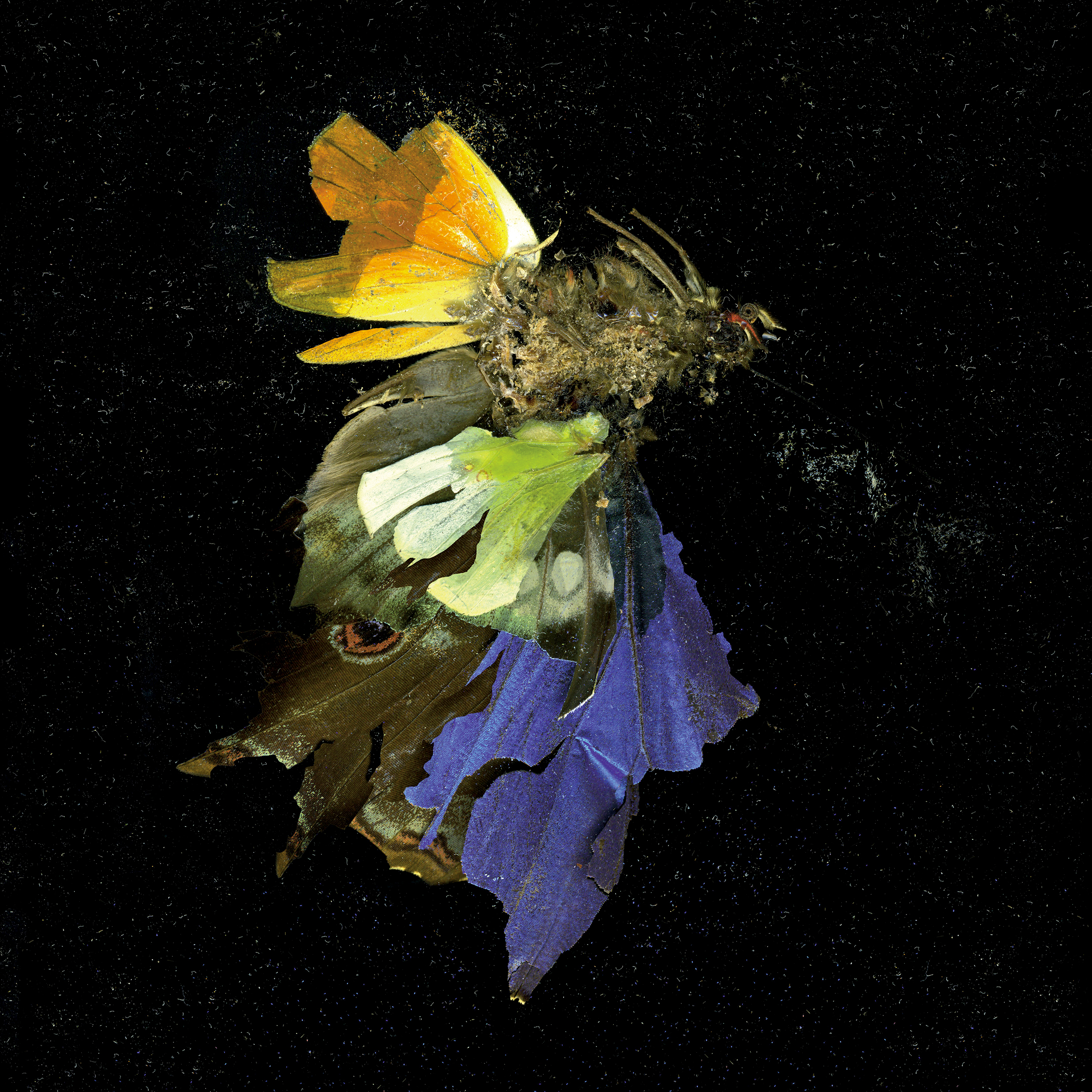 Insekticid 15. (2009)