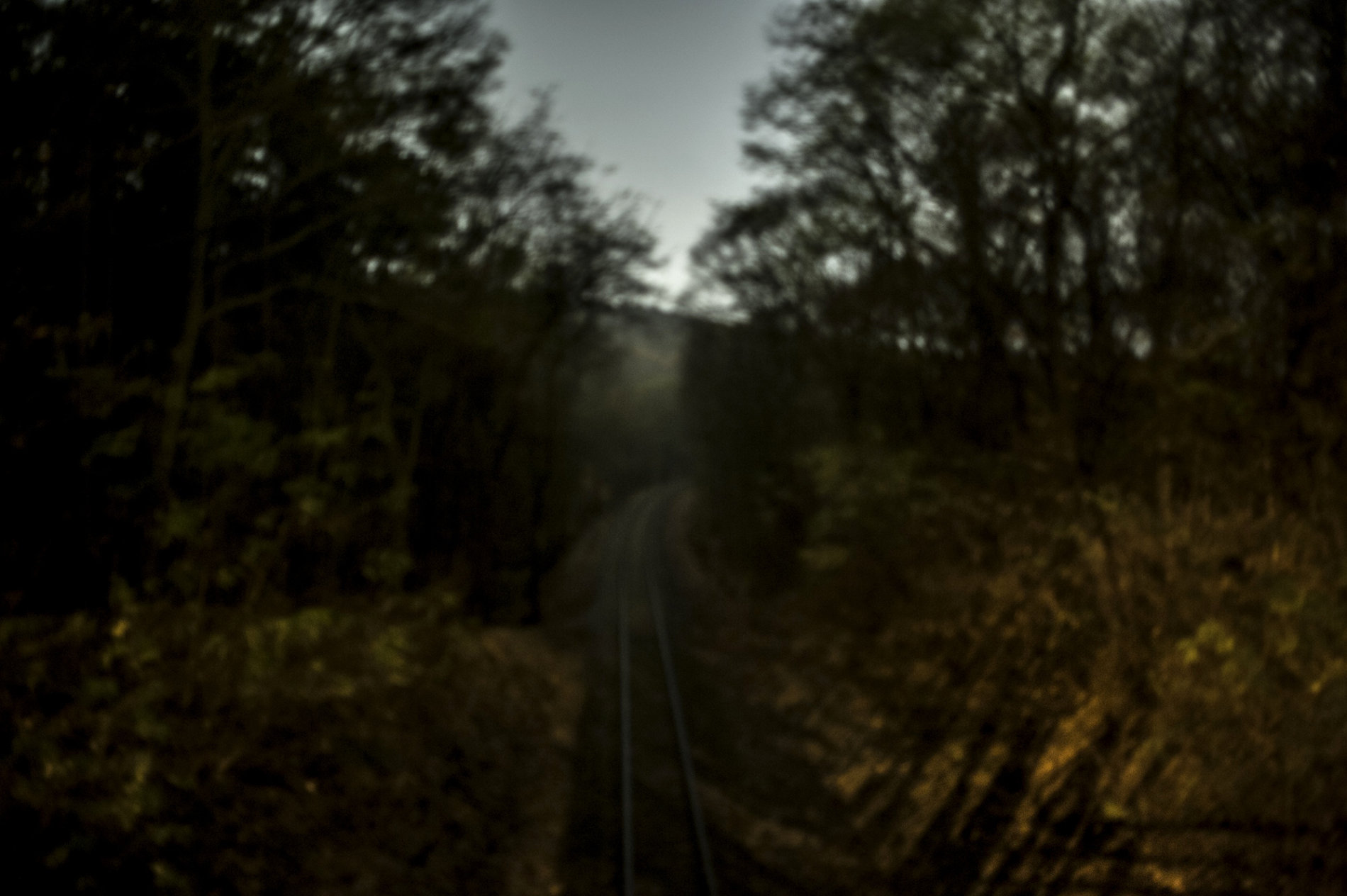Out of Focus