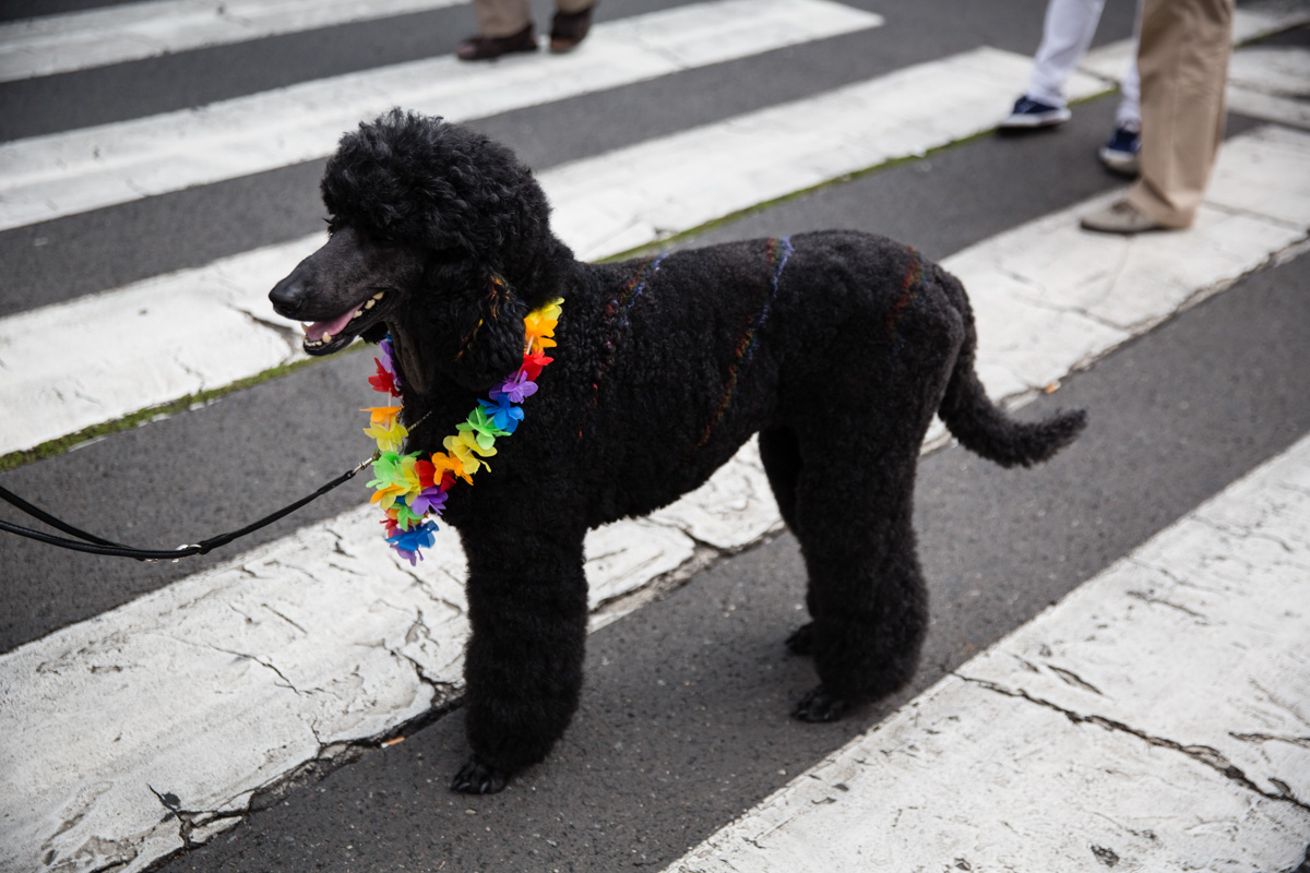 Prague Pride 2014