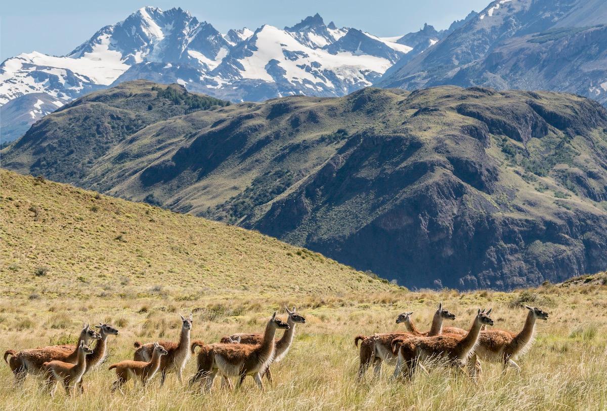 Patagonie