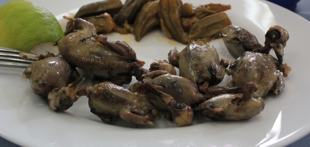 Ambelopoulia BirdLifeCyprus LR
